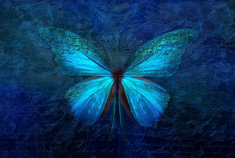 Spiritual transformation — luminous butterfly